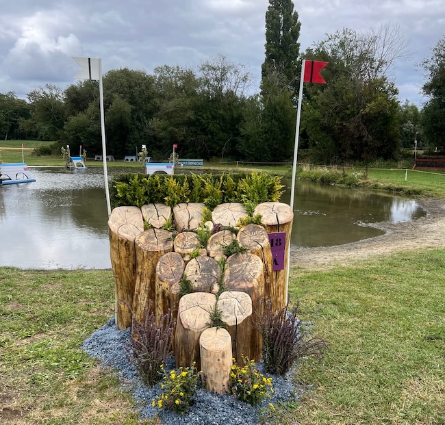 FEI pony europeans standing log brush